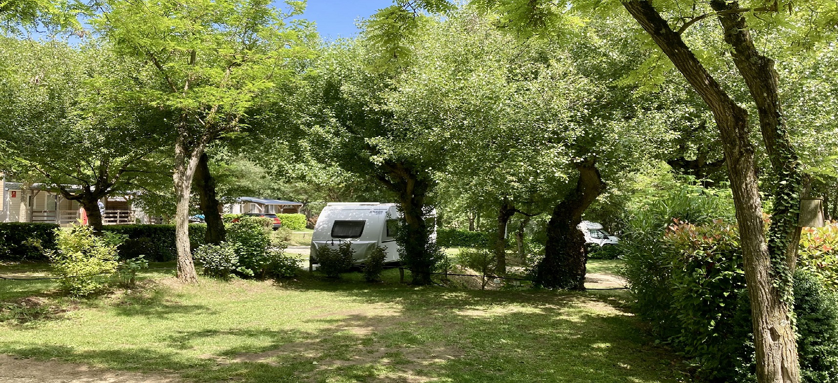 Camping Porte De Provence : Emplacement