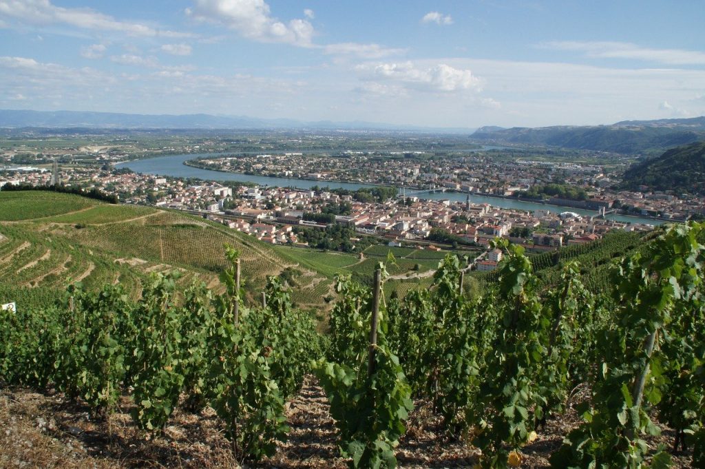 Drôme wijngaarden