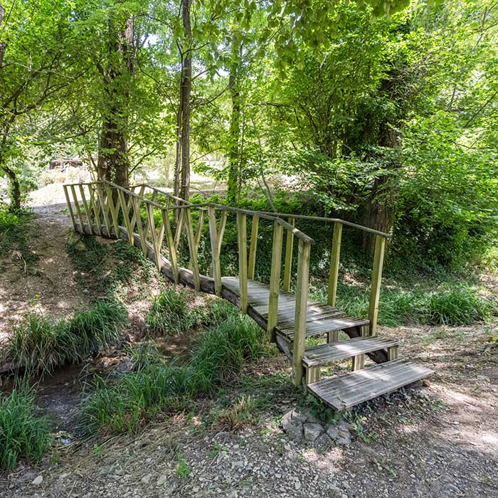 Nature Camping Photo Gallery 1 Nature Camping Photo Gallery 1