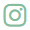 Iconinstagram